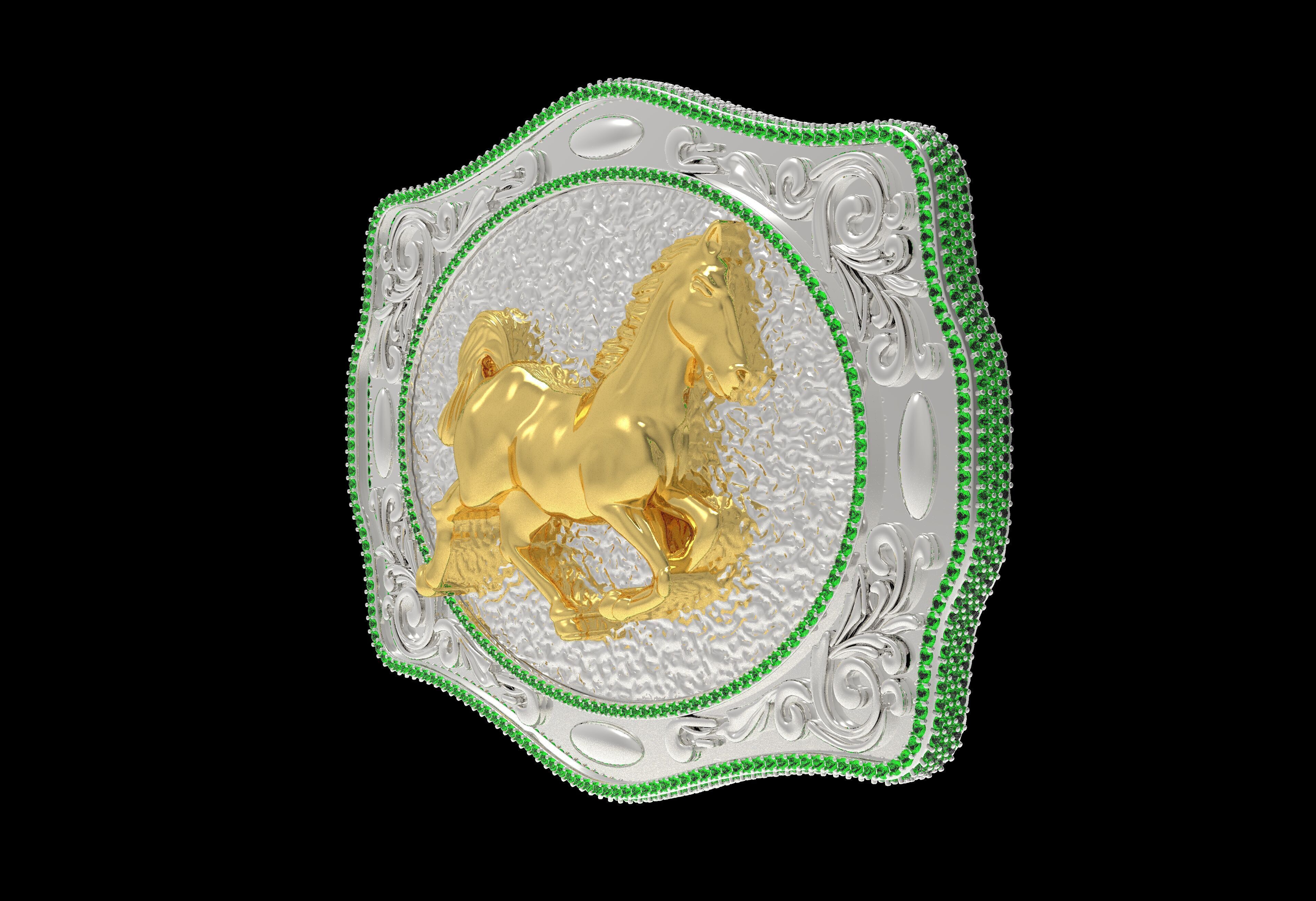 MYADDICTION  House Cowboy Belt Buckle 3D print model_7
