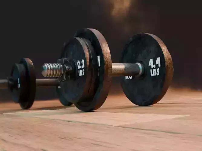 10 kg Dumbbell Set Realistic PBR