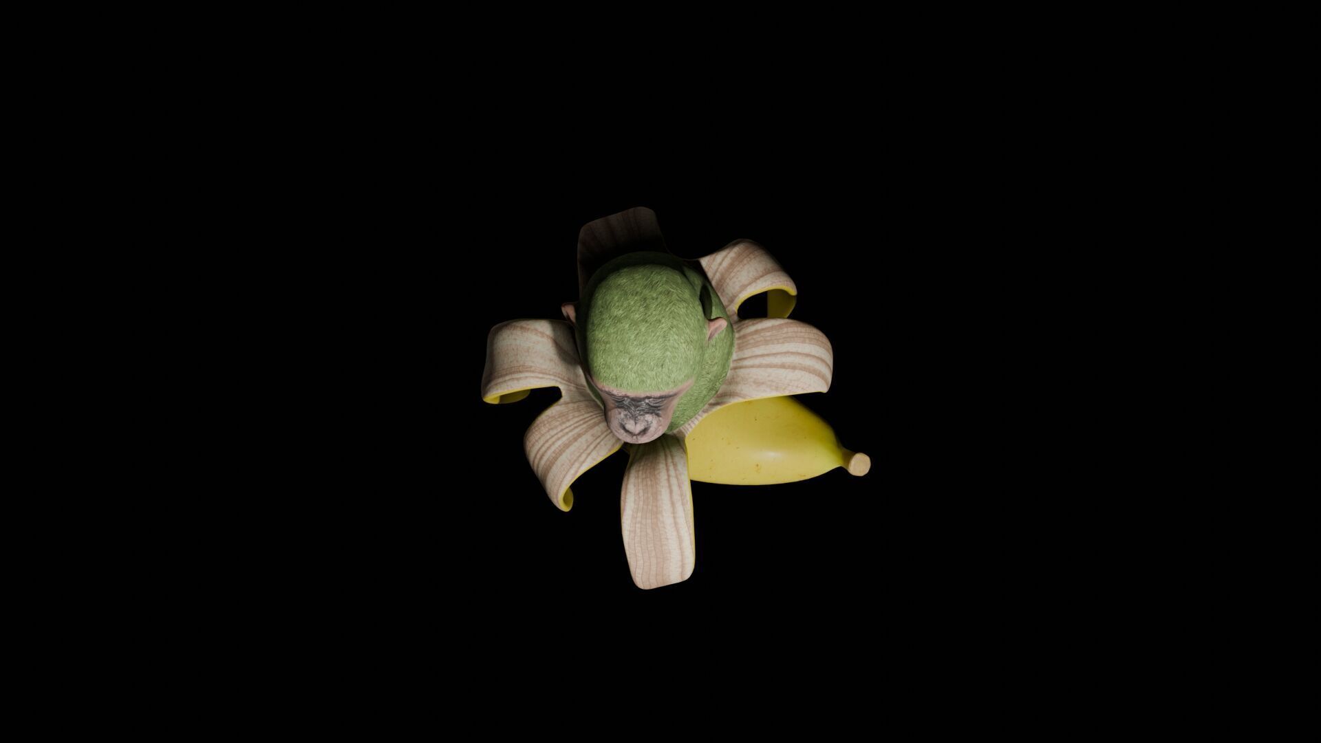 Chimpanzini Bananini Low-poly 3D model_4
