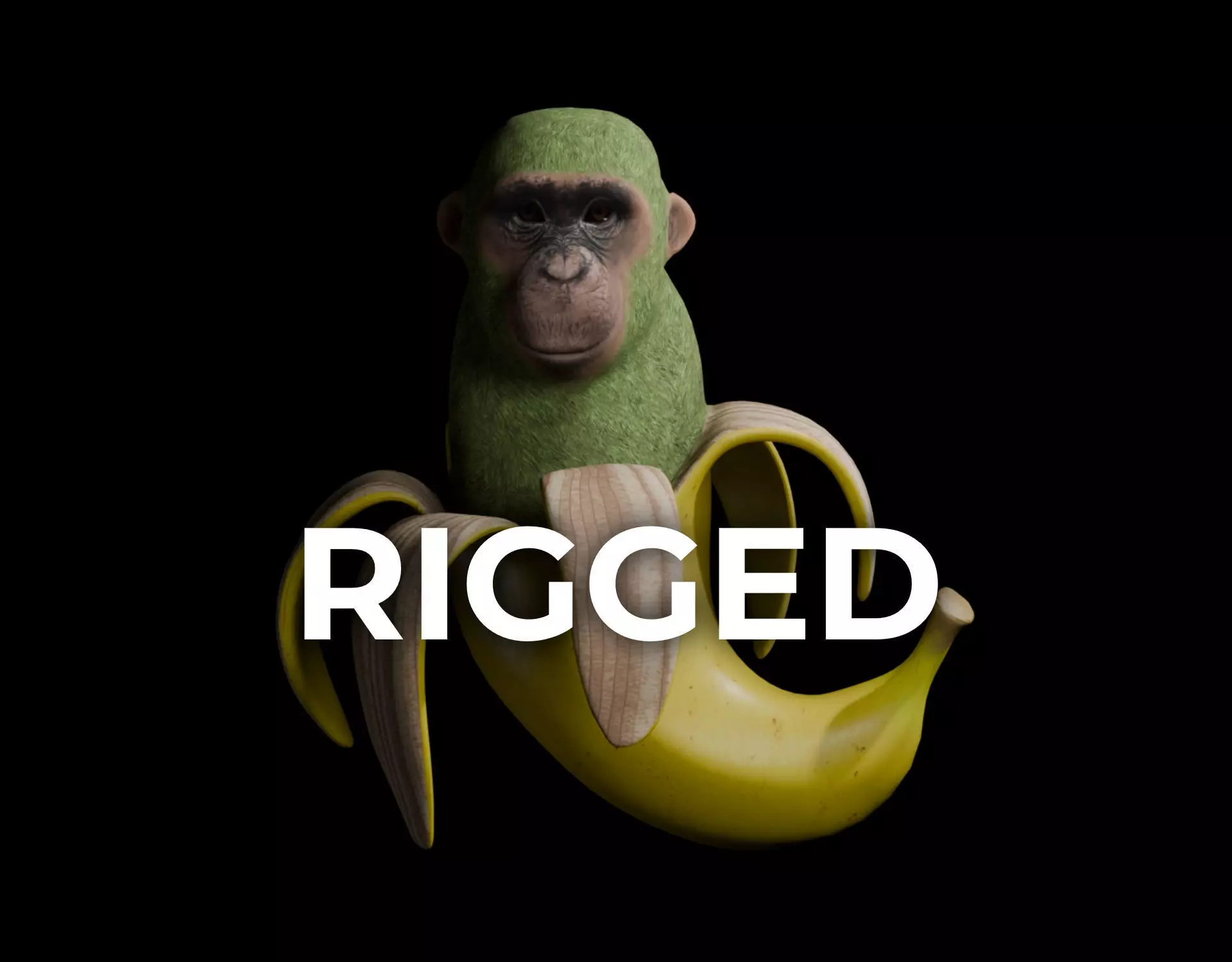 Chimpanzini Bananini Low-poly 3D model_0