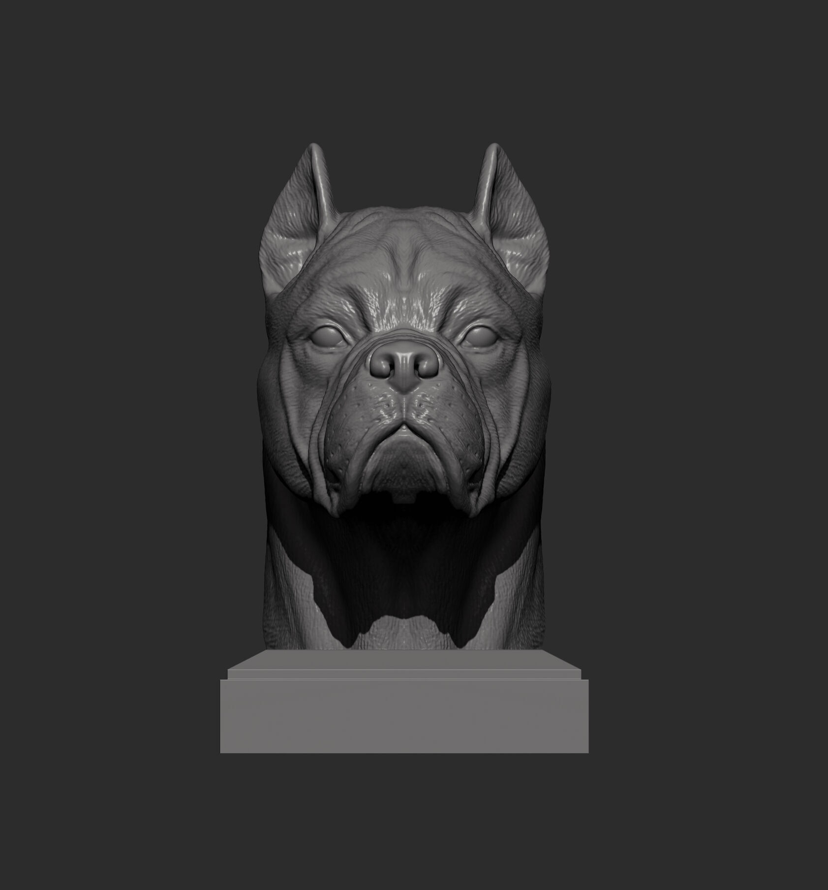 Cane Corso bust 3D print model_5