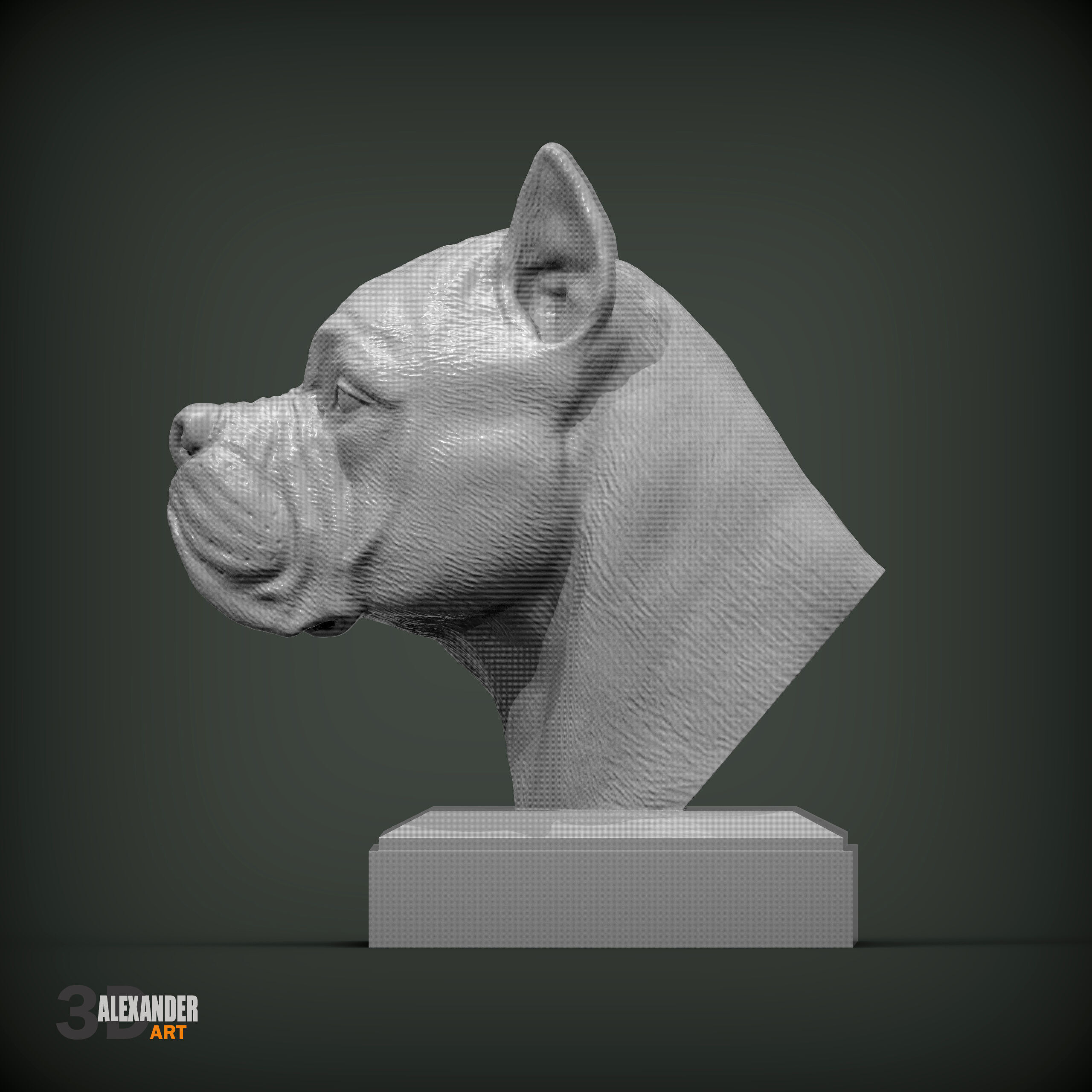 Cane Corso bust 3D print model_1