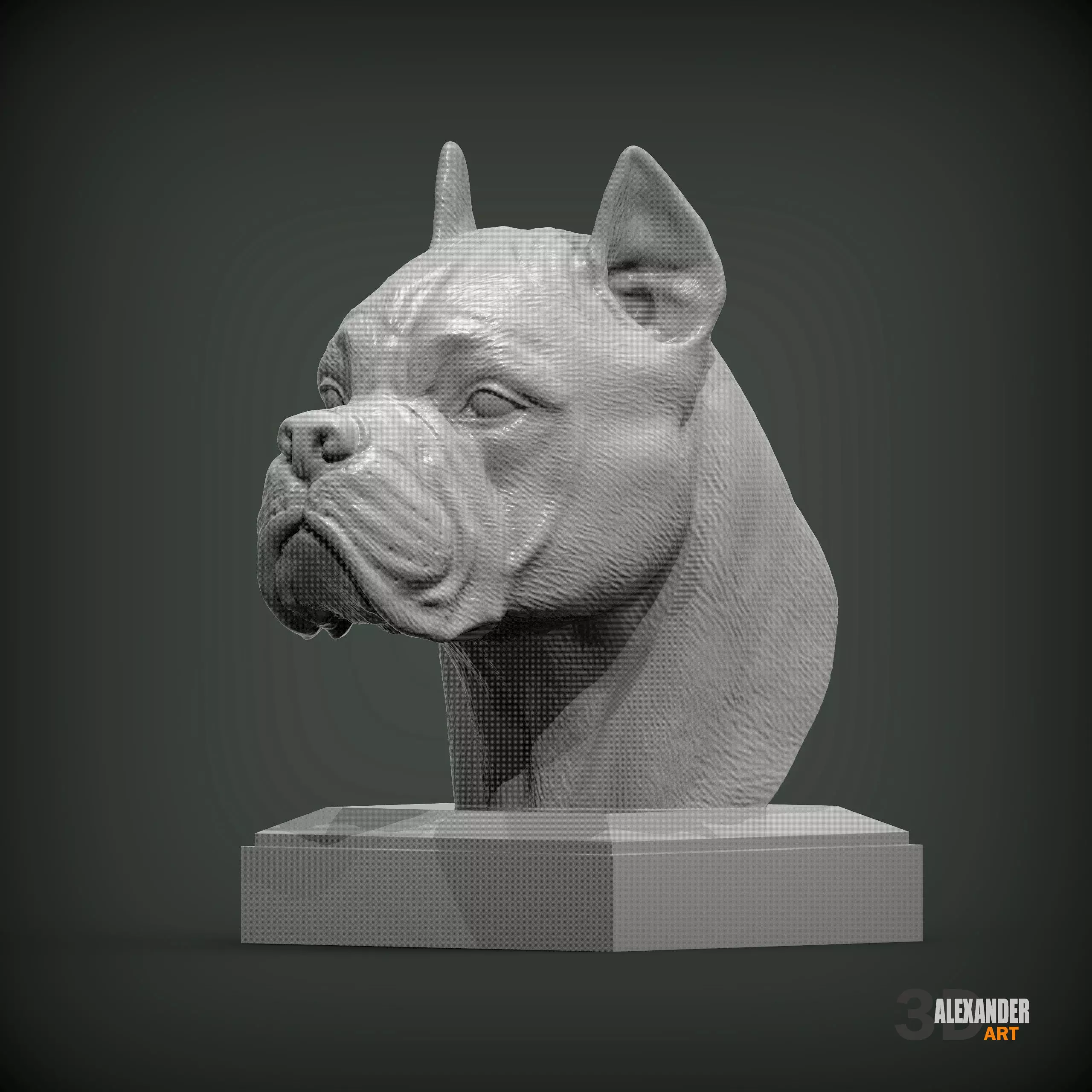 Cane Corso bust 3D print model_0