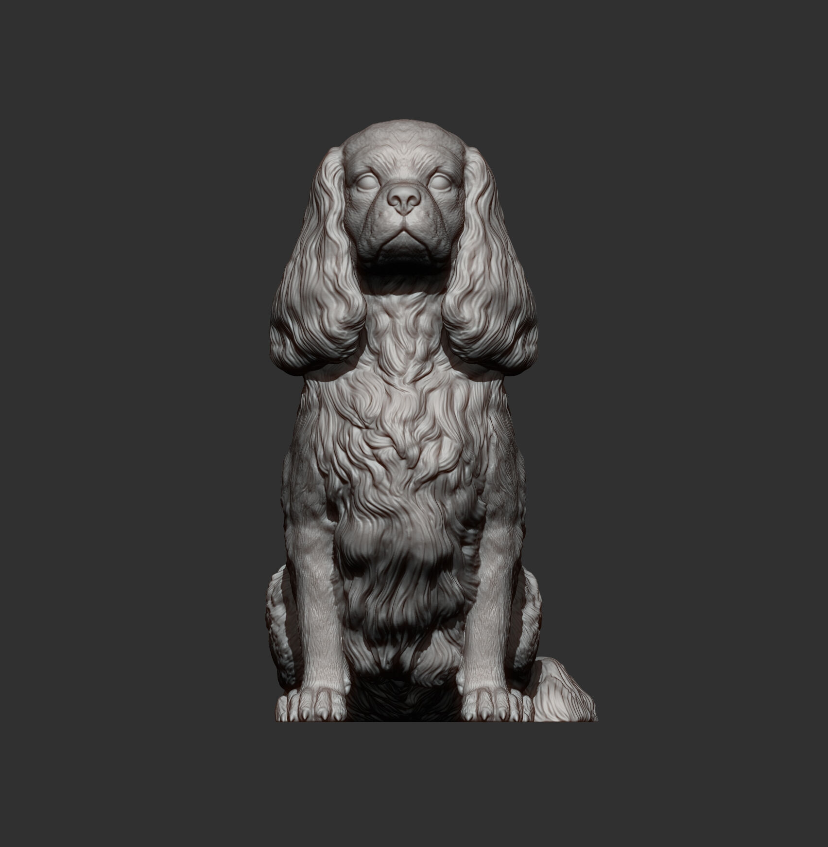 Cavalier King Charles Spaniel Sitting 3D print model_11
