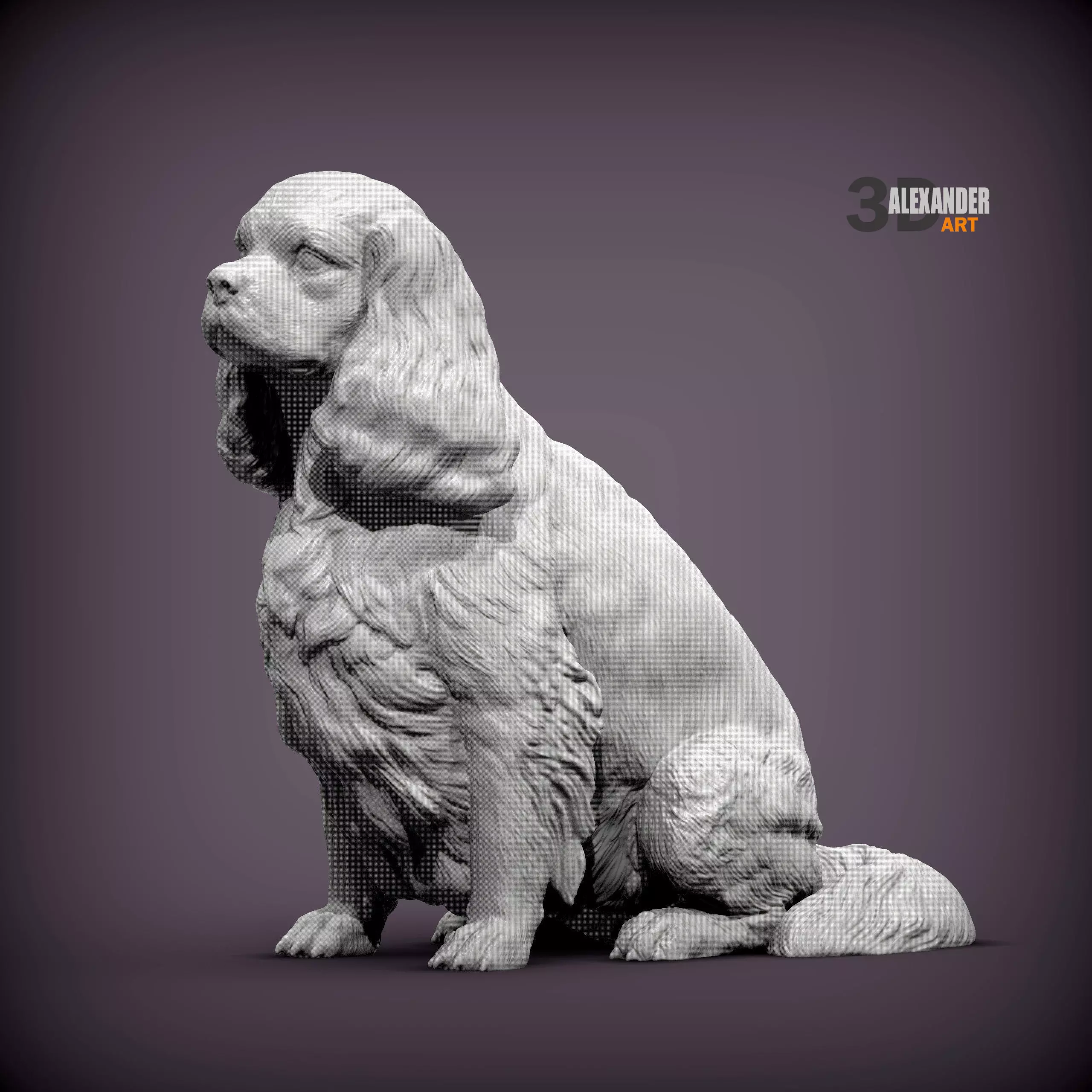 Cavalier King Charles Spaniel Sitting 3D print model_0