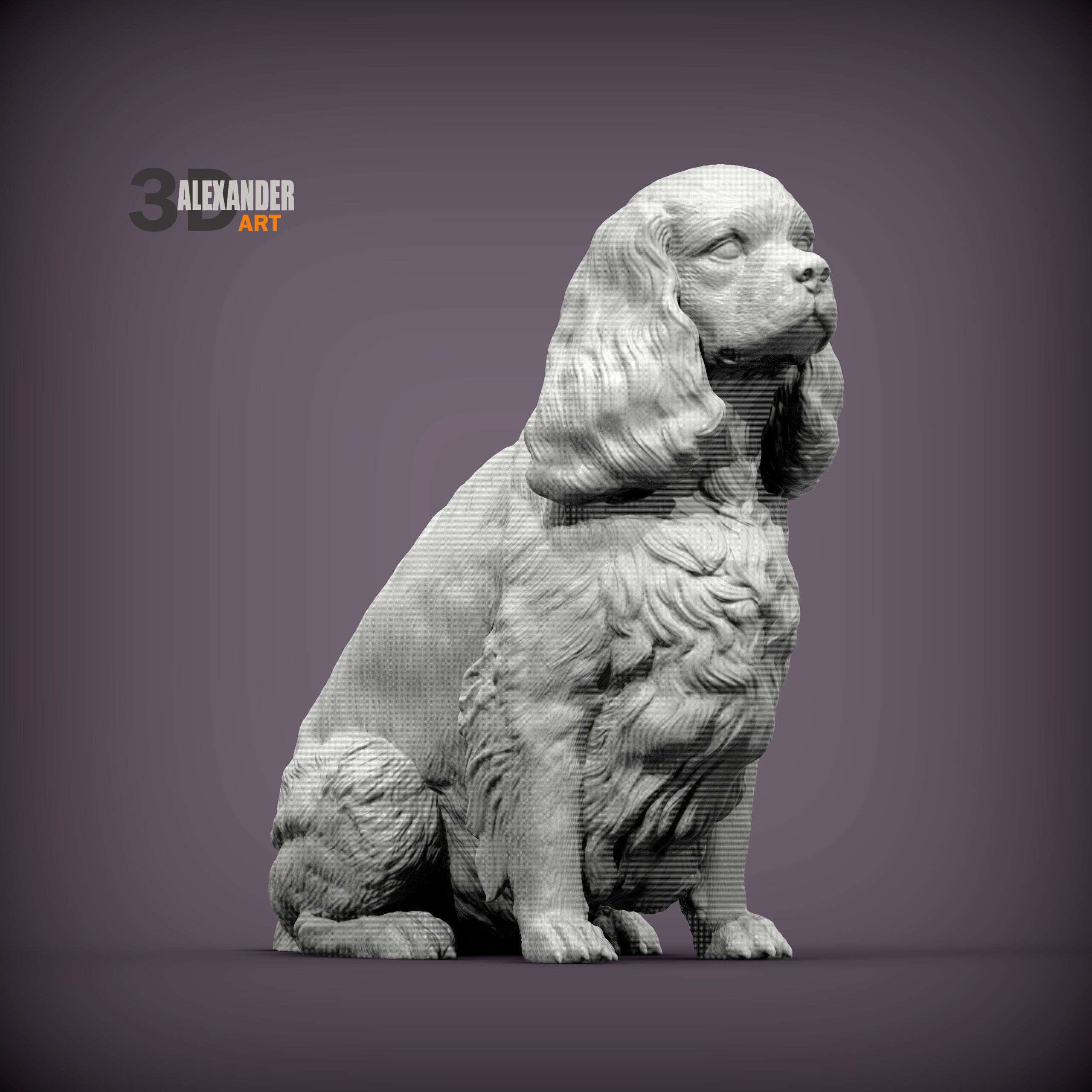 Cavalier King Charles Spaniel Sitting 3D print model_3