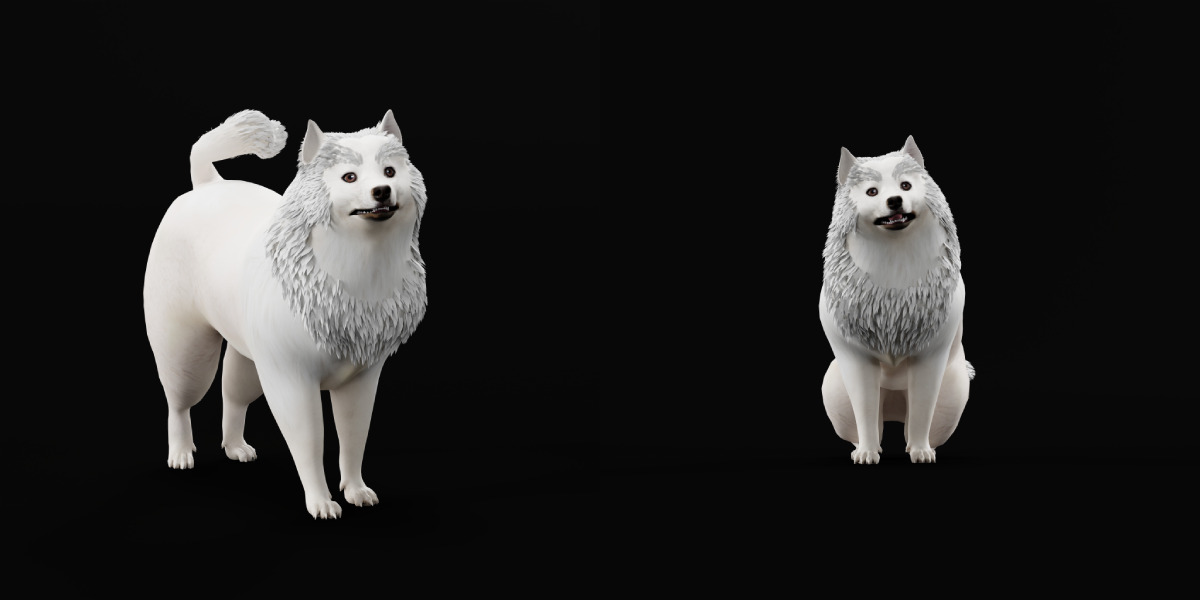Samoyed Dog Low-poly 3D model_9