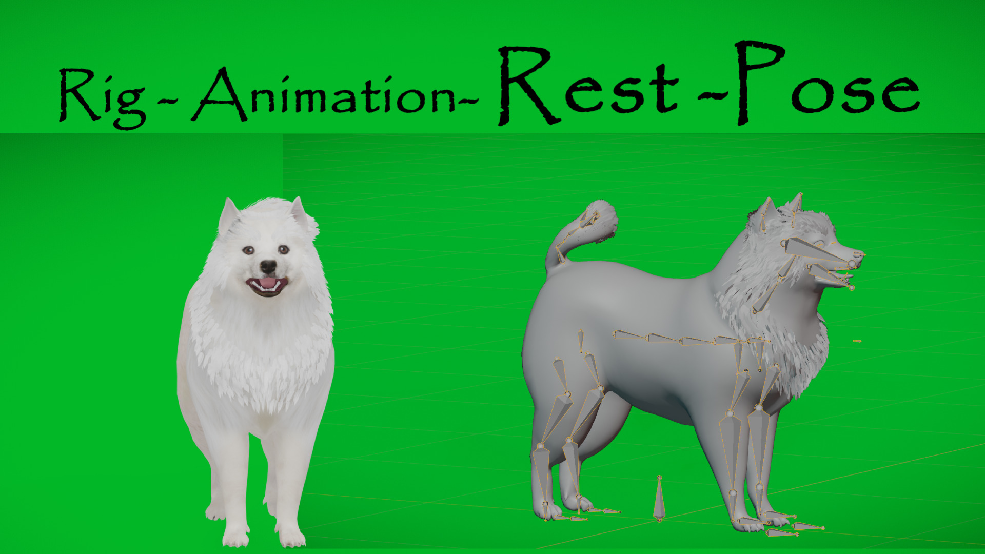 Samoyed Dog Low-poly 3D model_2