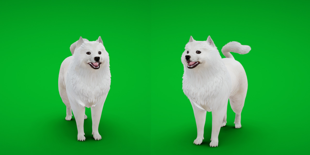 Samoyed Dog Low-poly 3D model_32