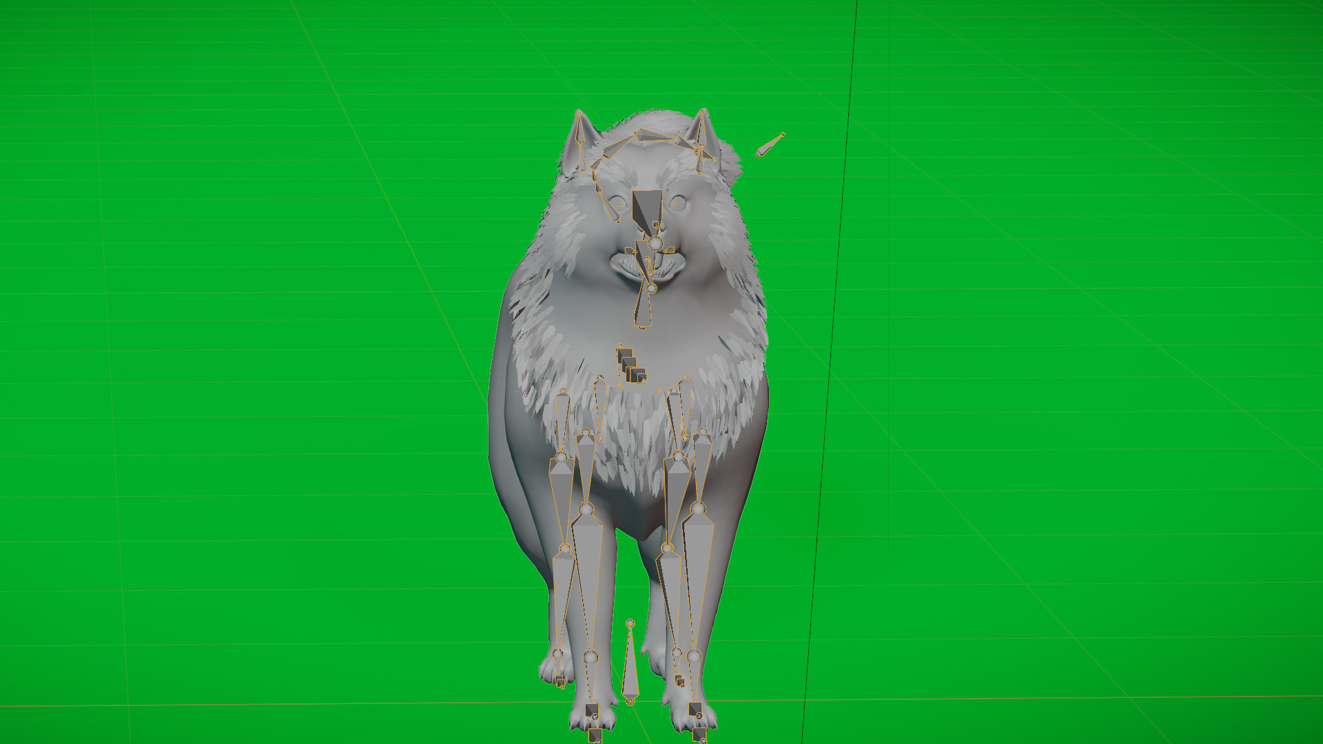 Samoyed Dog Low-poly 3D model_34