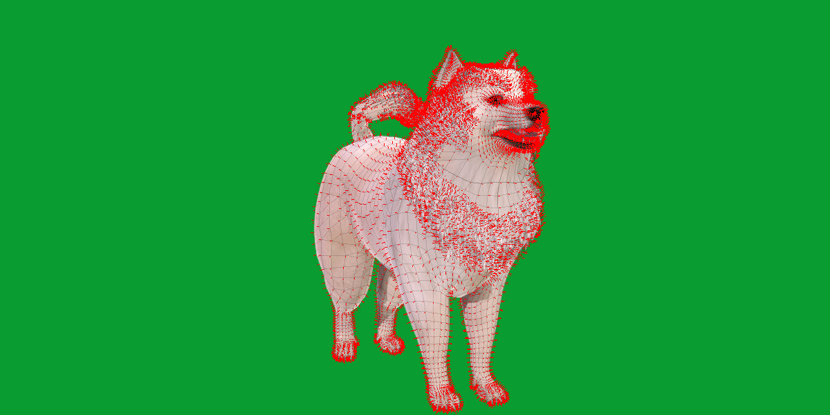 Samoyed Dog Low-poly 3D model_18