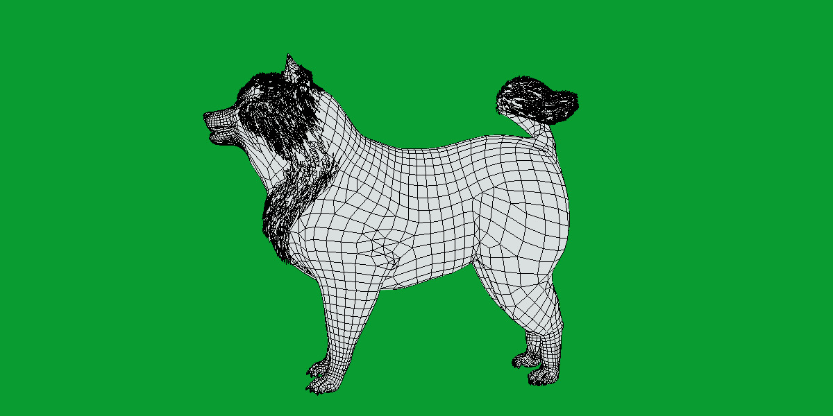 Samoyed Dog Low-poly 3D model_15