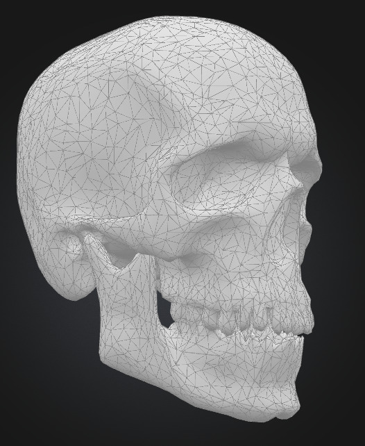 Realistic Human Skull 3D Printable Model 3D print model_7