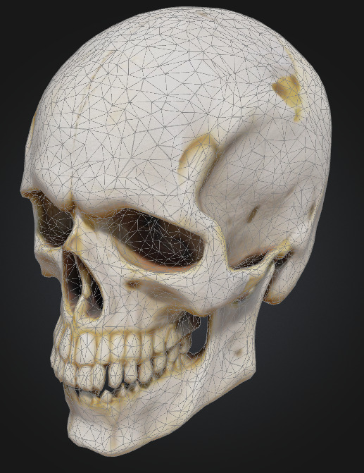 Realistic Human Skull 3D Printable Model 3D print model_6