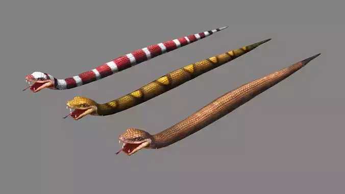 Three venomous snakes