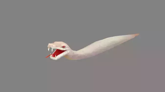 Cartoon White Snake Low-poly 3D model
