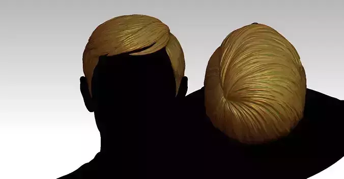 3D Hair style for Man V29 3D print model
