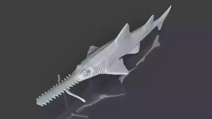 Real Fish Collection Printable Sawshark Toy