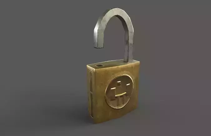 Padlock and chain ring