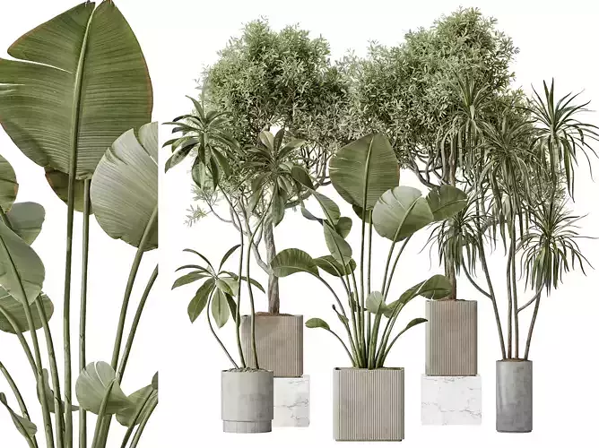 AV Indoor plants set 204