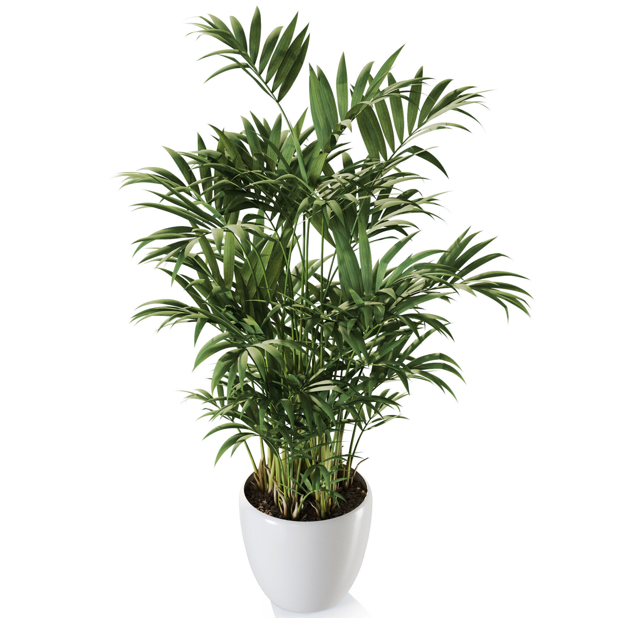 Plant 1236 3D model_3