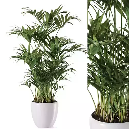 Plant 1236 3D model