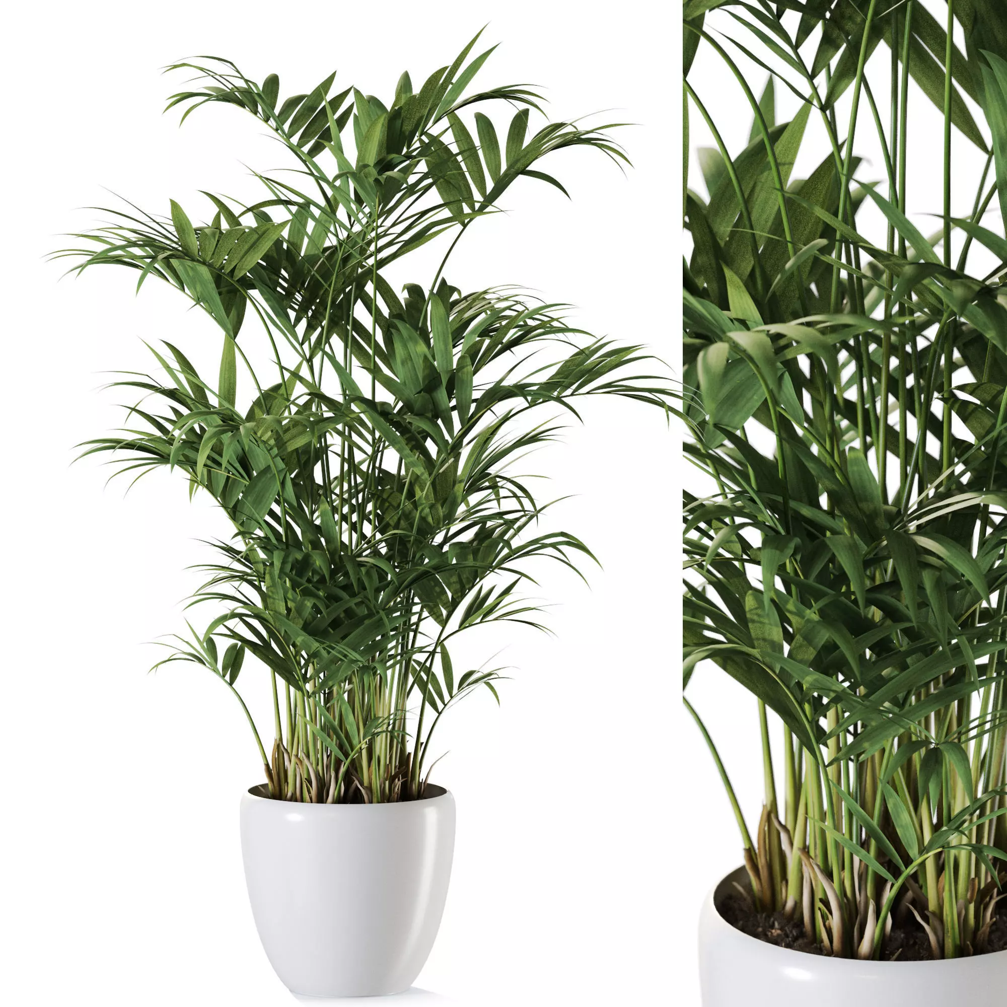 Plant 1236 3D model_0