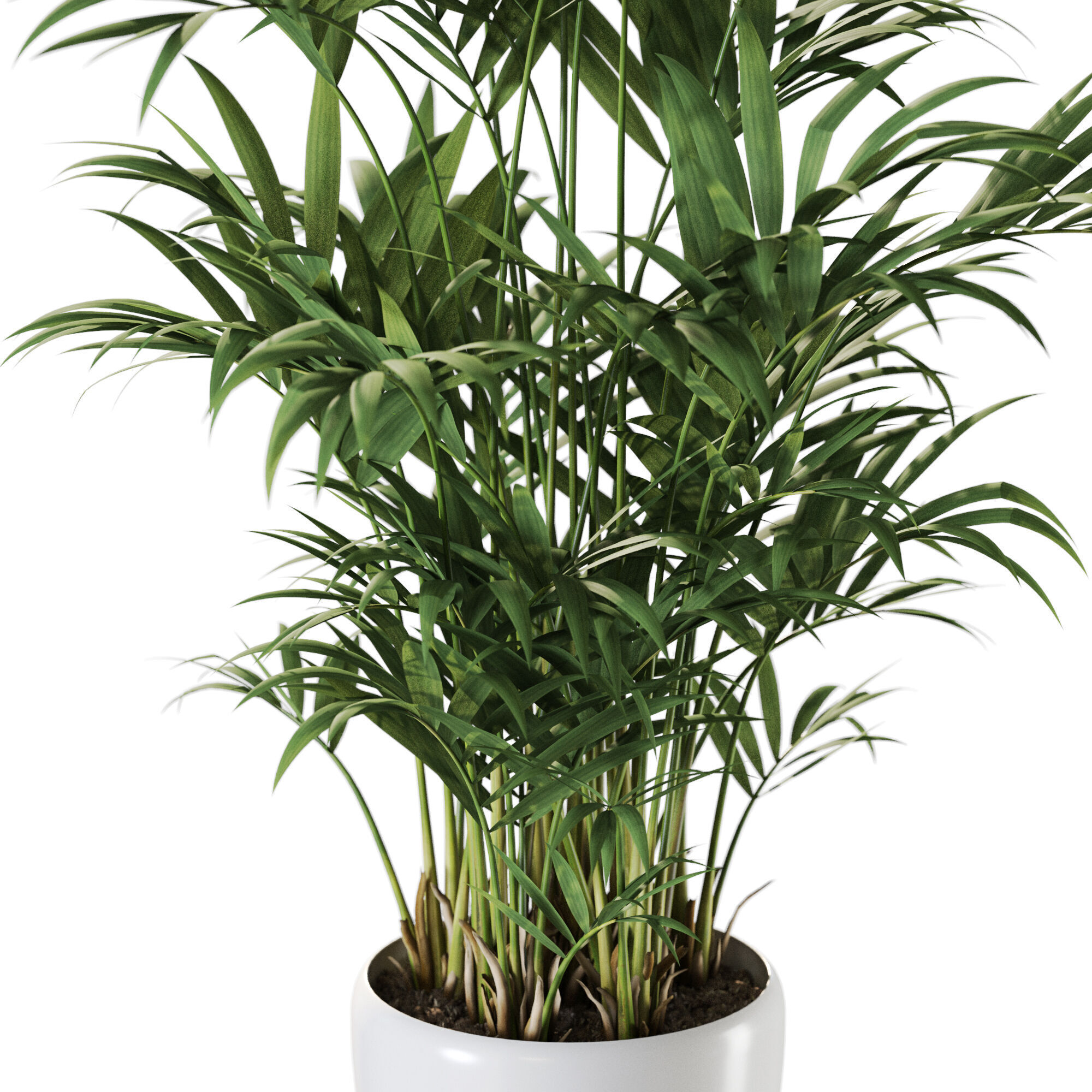 Plant 1236 3D model_2