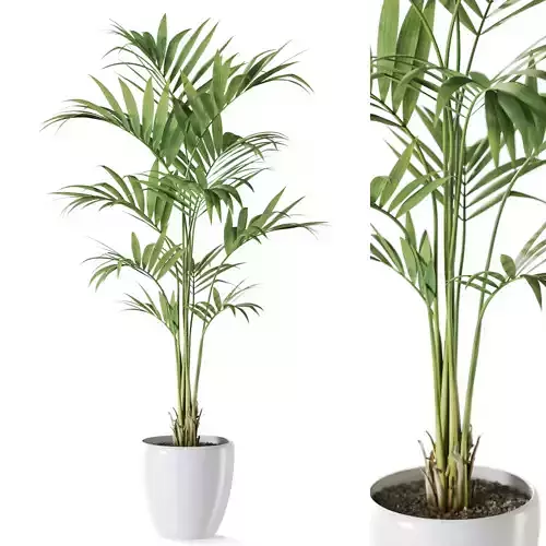 Plant 1237 3D model
