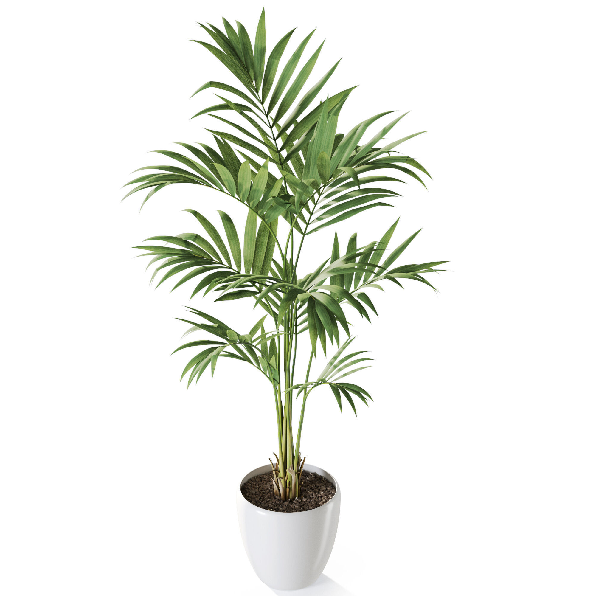 Plant 1237 3D model_3
