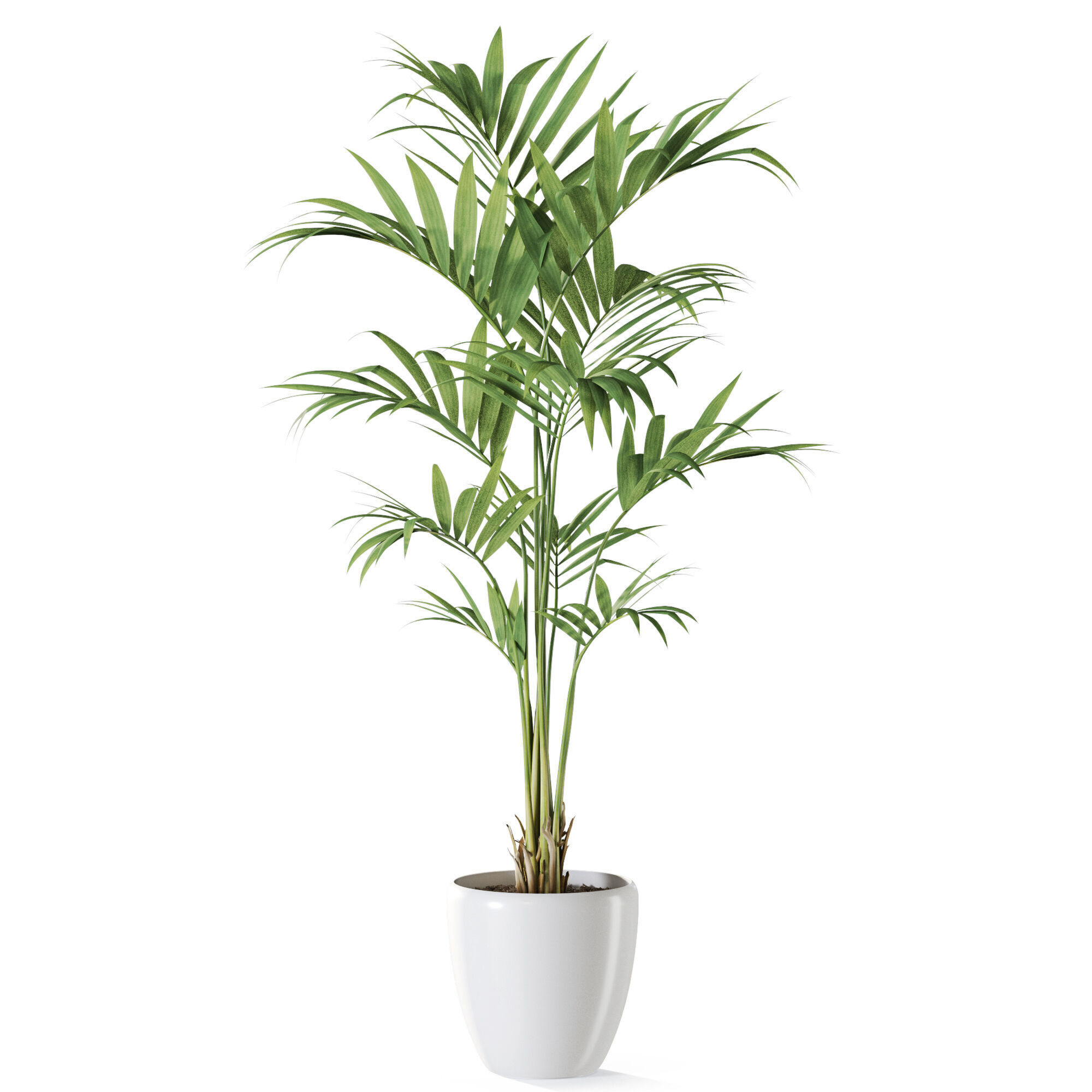 Plant 1237 3D model_1