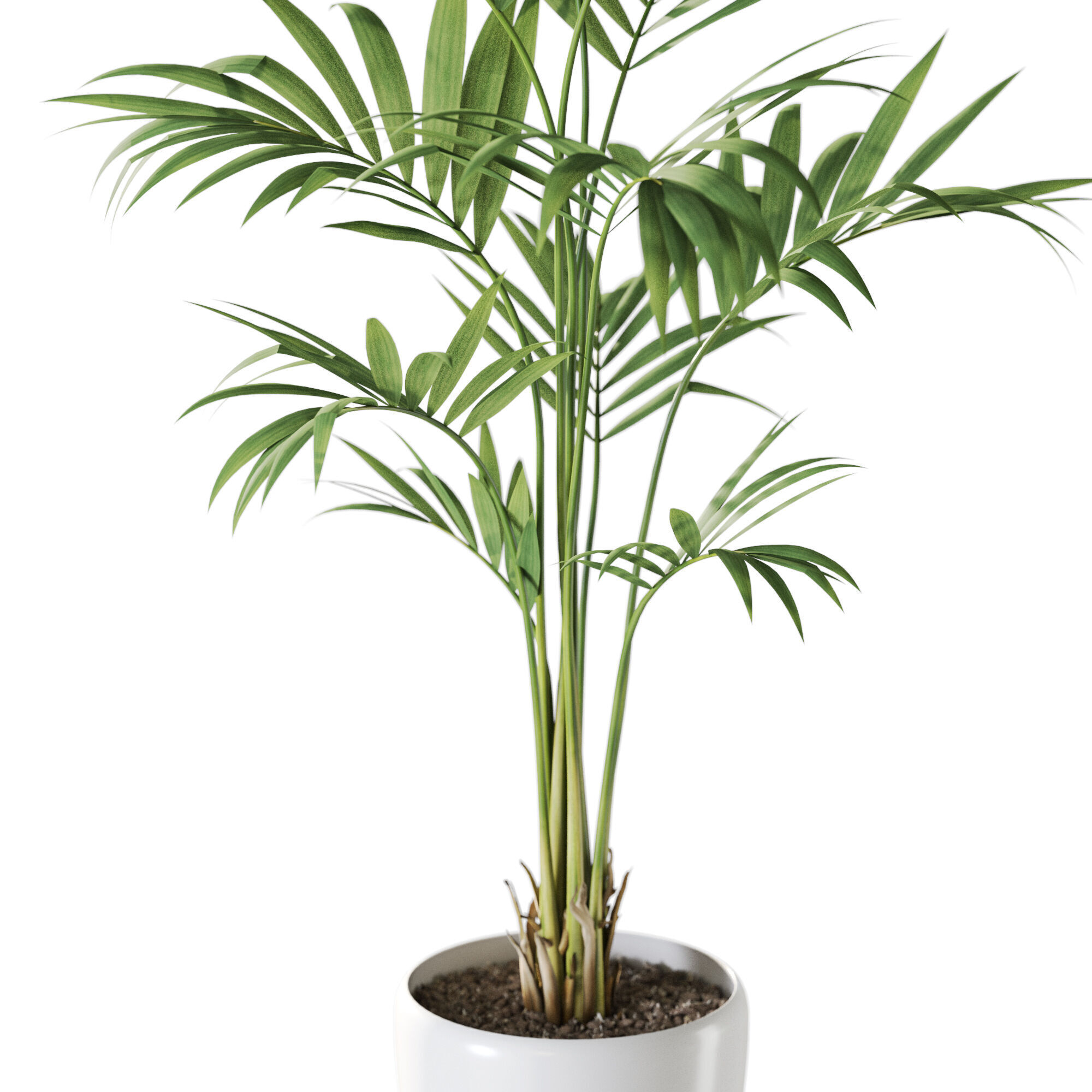 Plant 1237 3D model_2