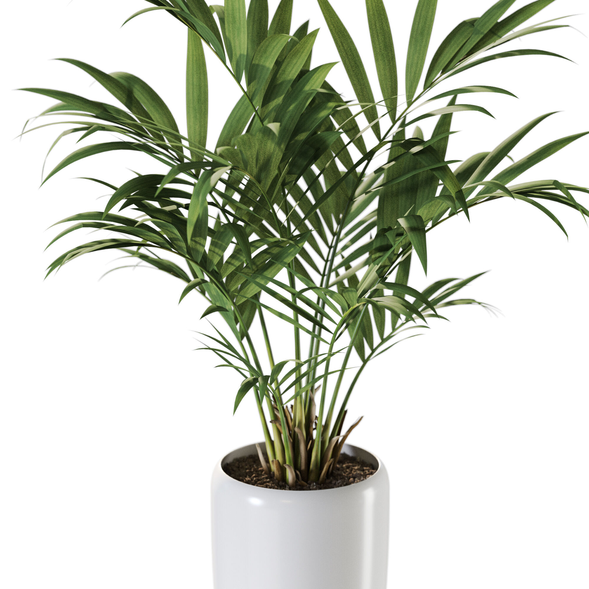 Plant 1238 3D model_2