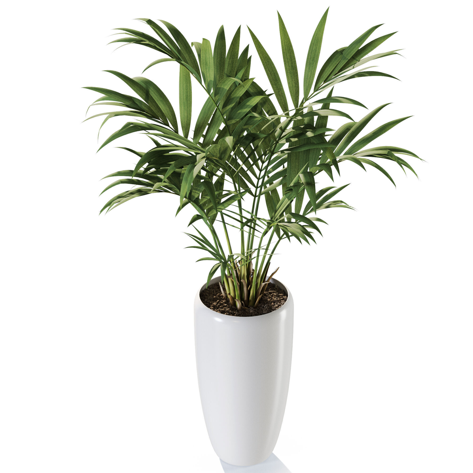 Plant 1238 3D model_3