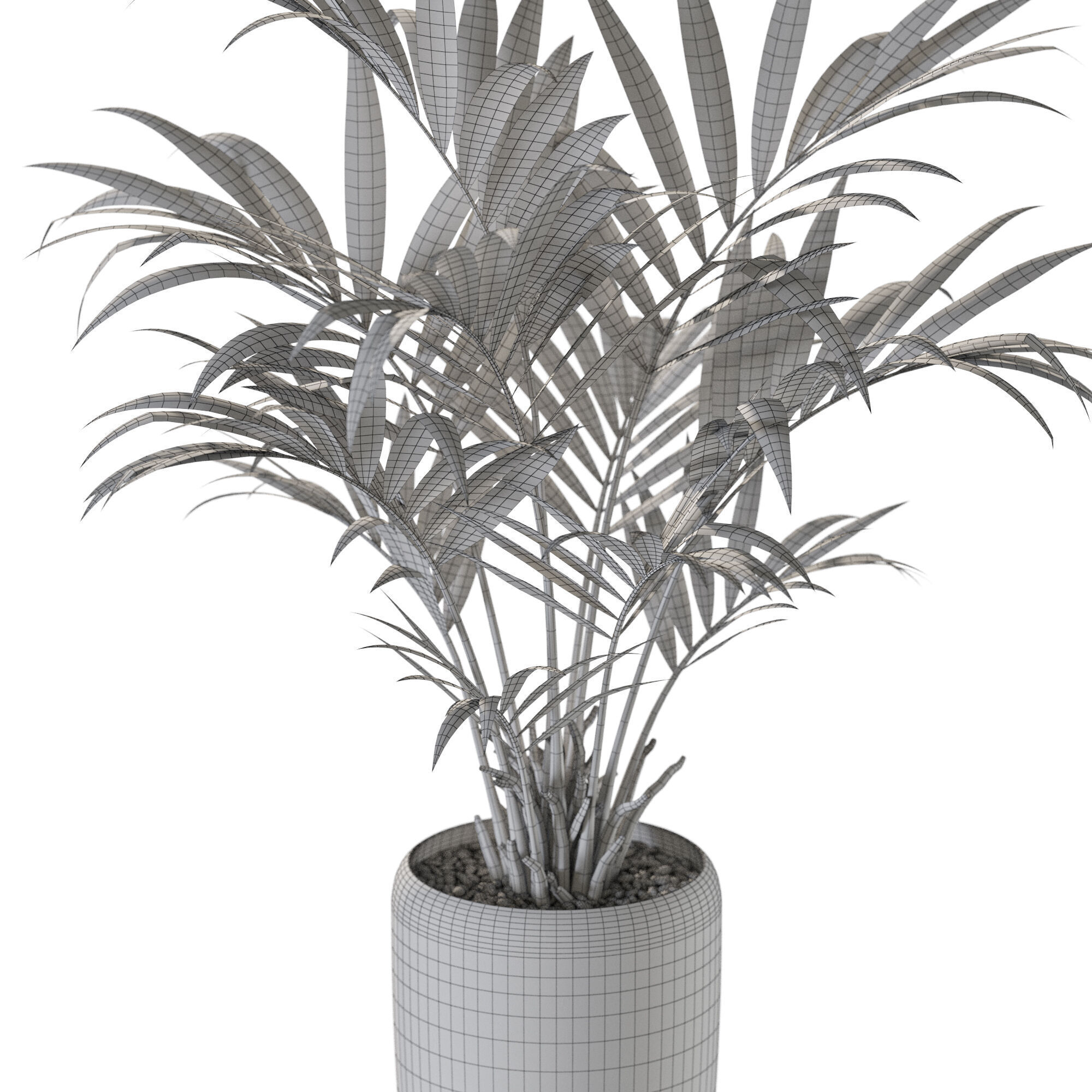 Plant 1238 3D model_5