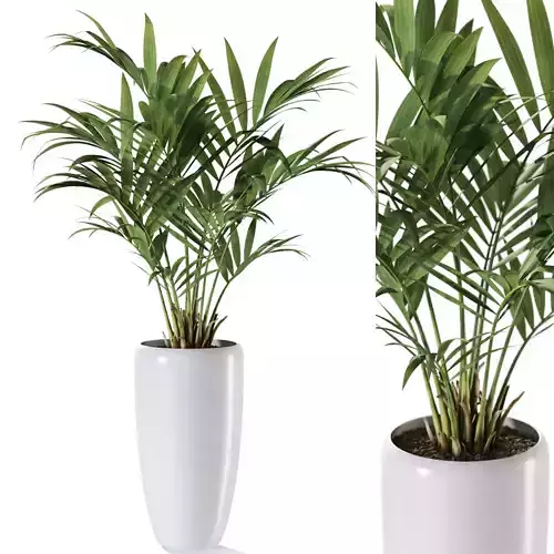 Plant 1238 3D model