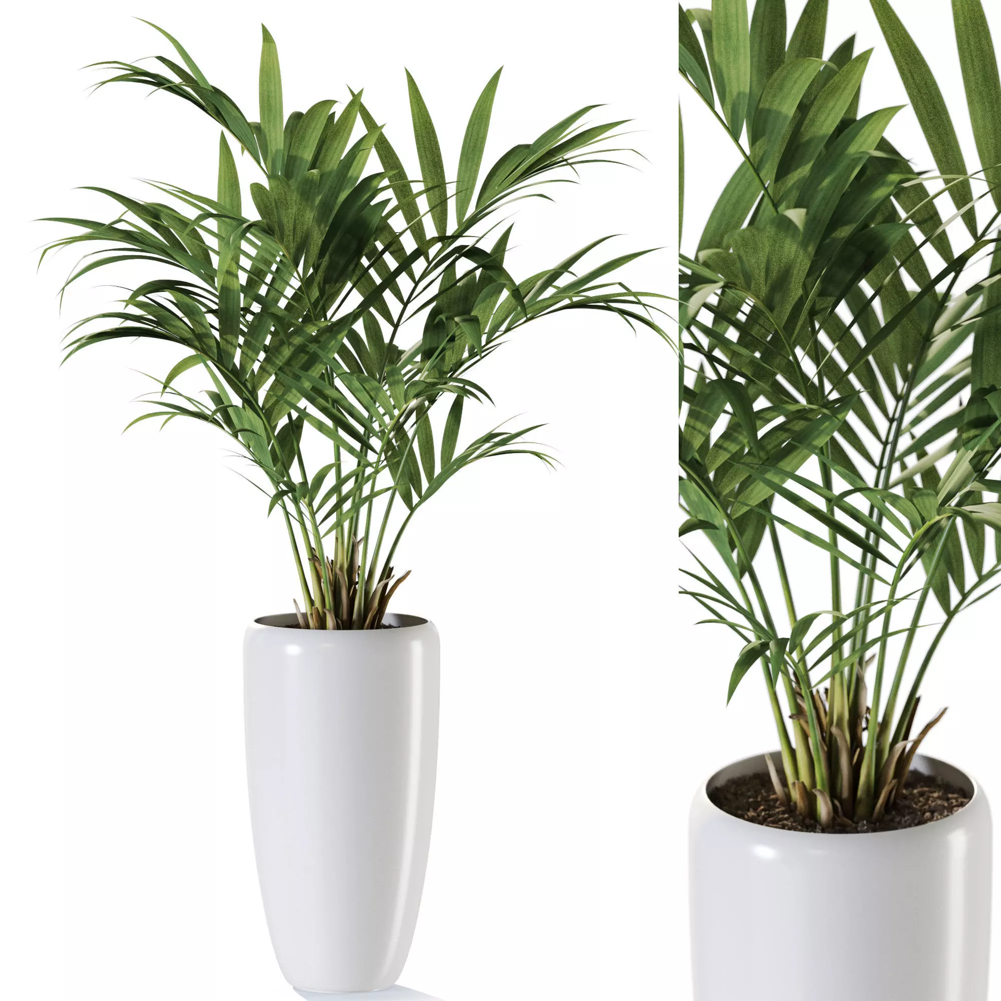 Plant 1238 3D model_0