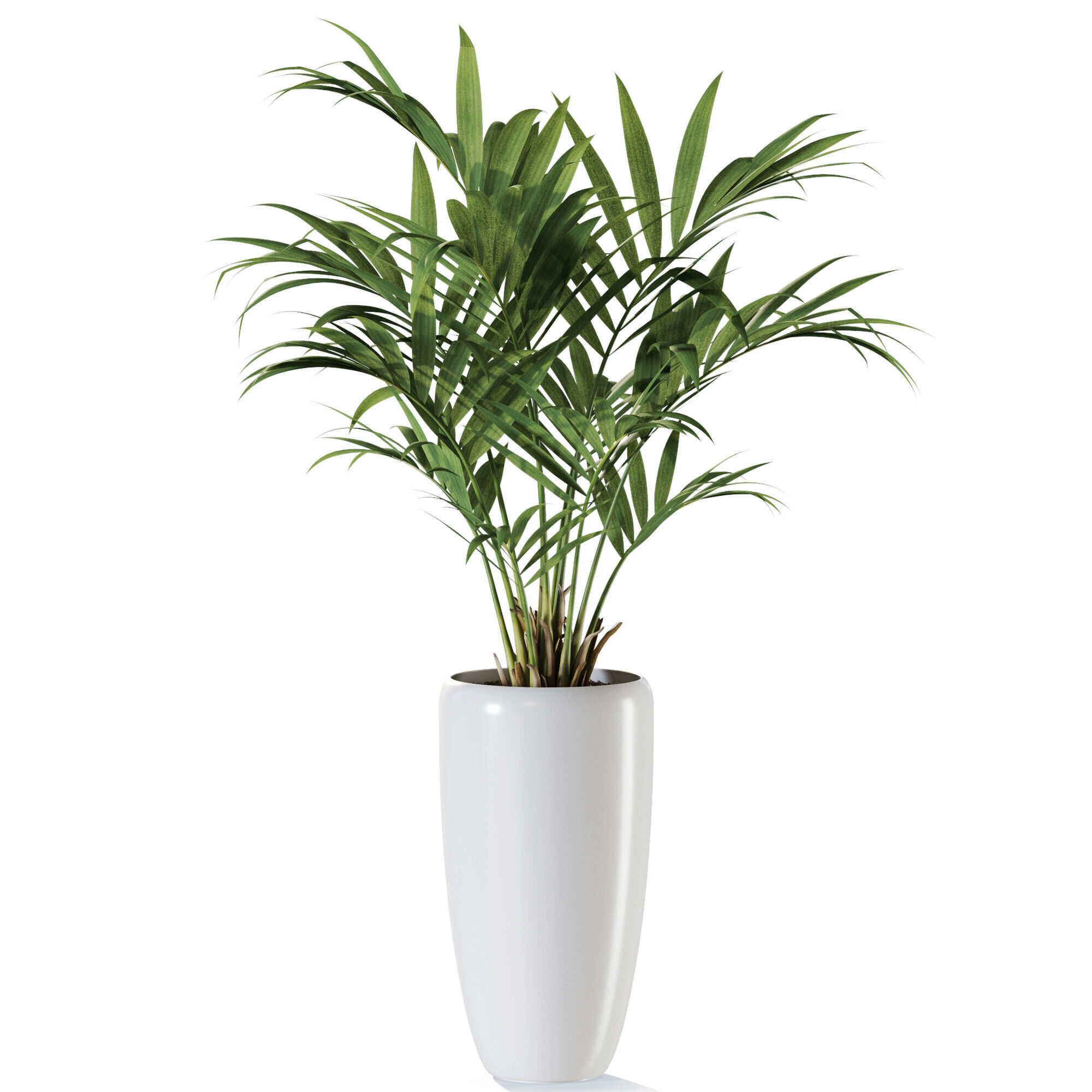 Plant 1238 3D model_1