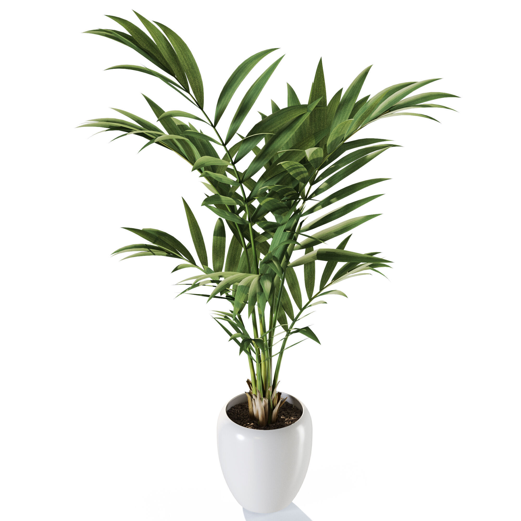 Plant 1239 3D model_3