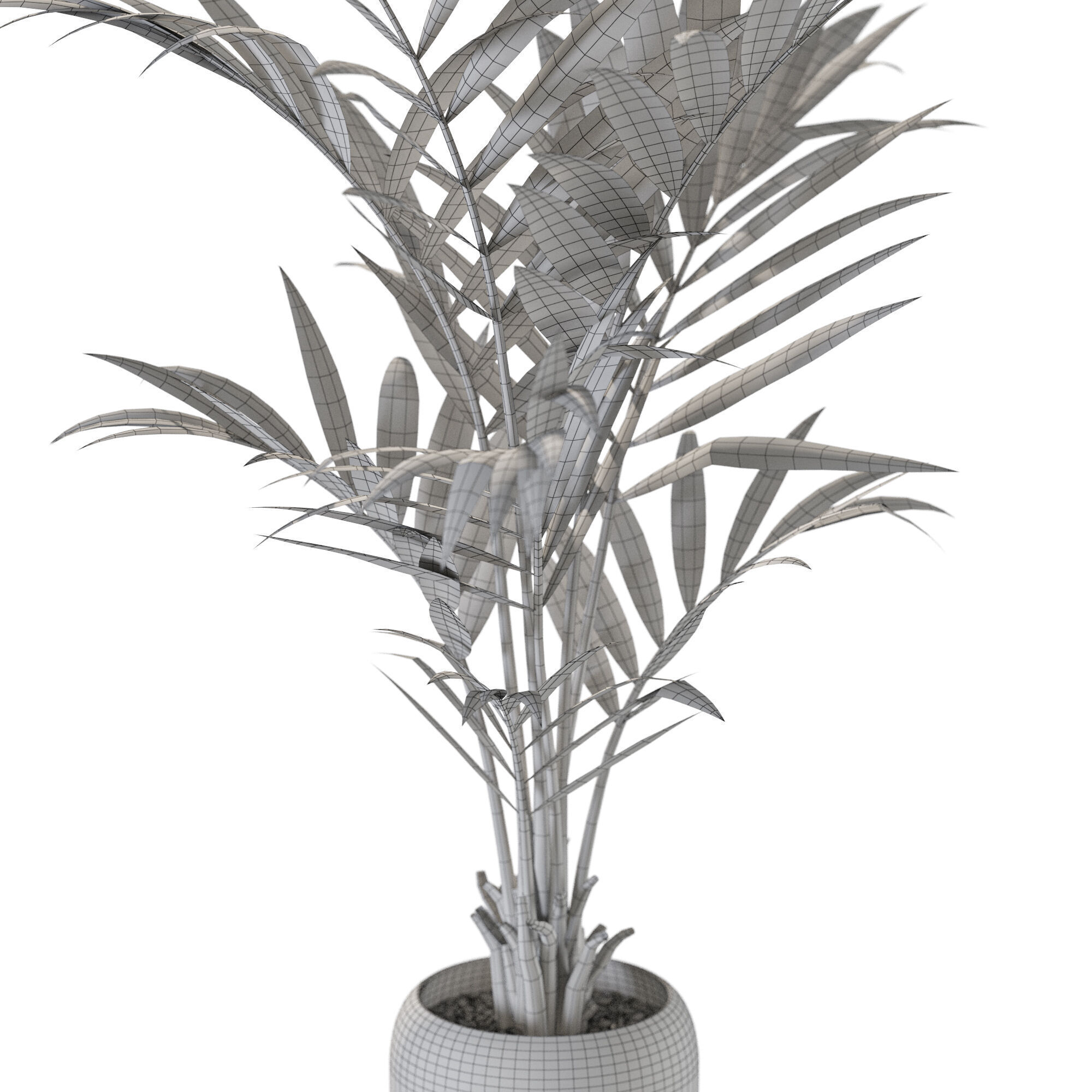 Plant 1239 3D model_5