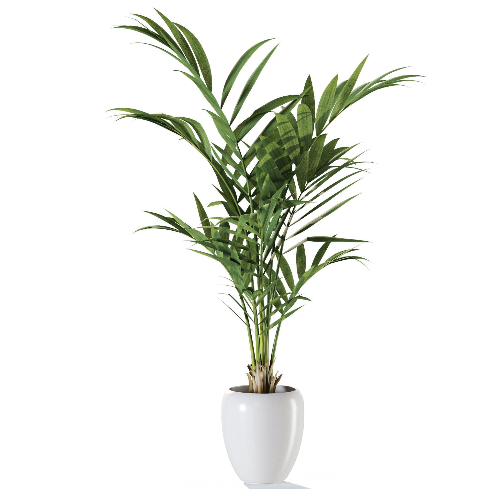 Plant 1239 3D model_1
