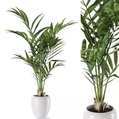 Plant 1239 3D model