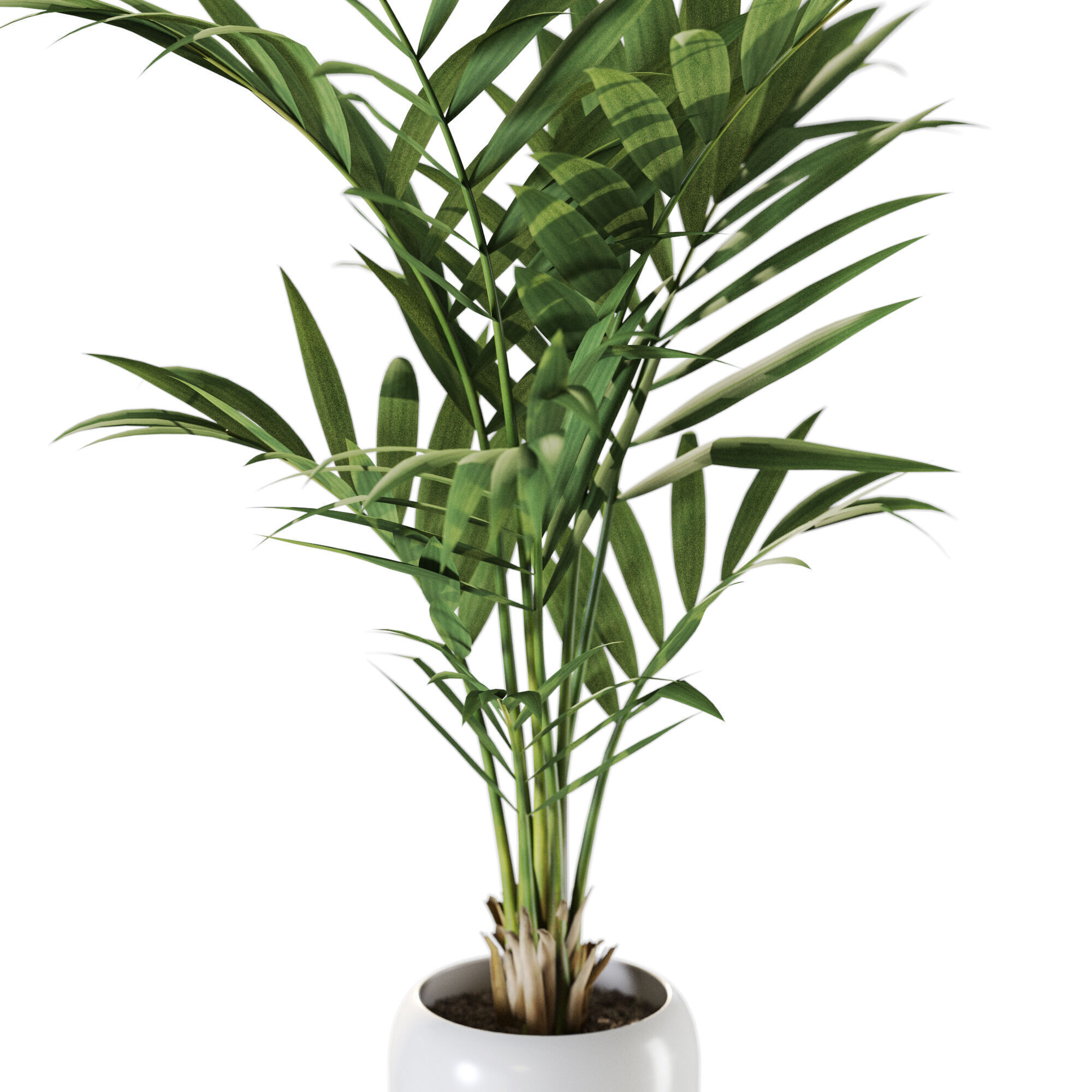 Plant 1239 3D model_2