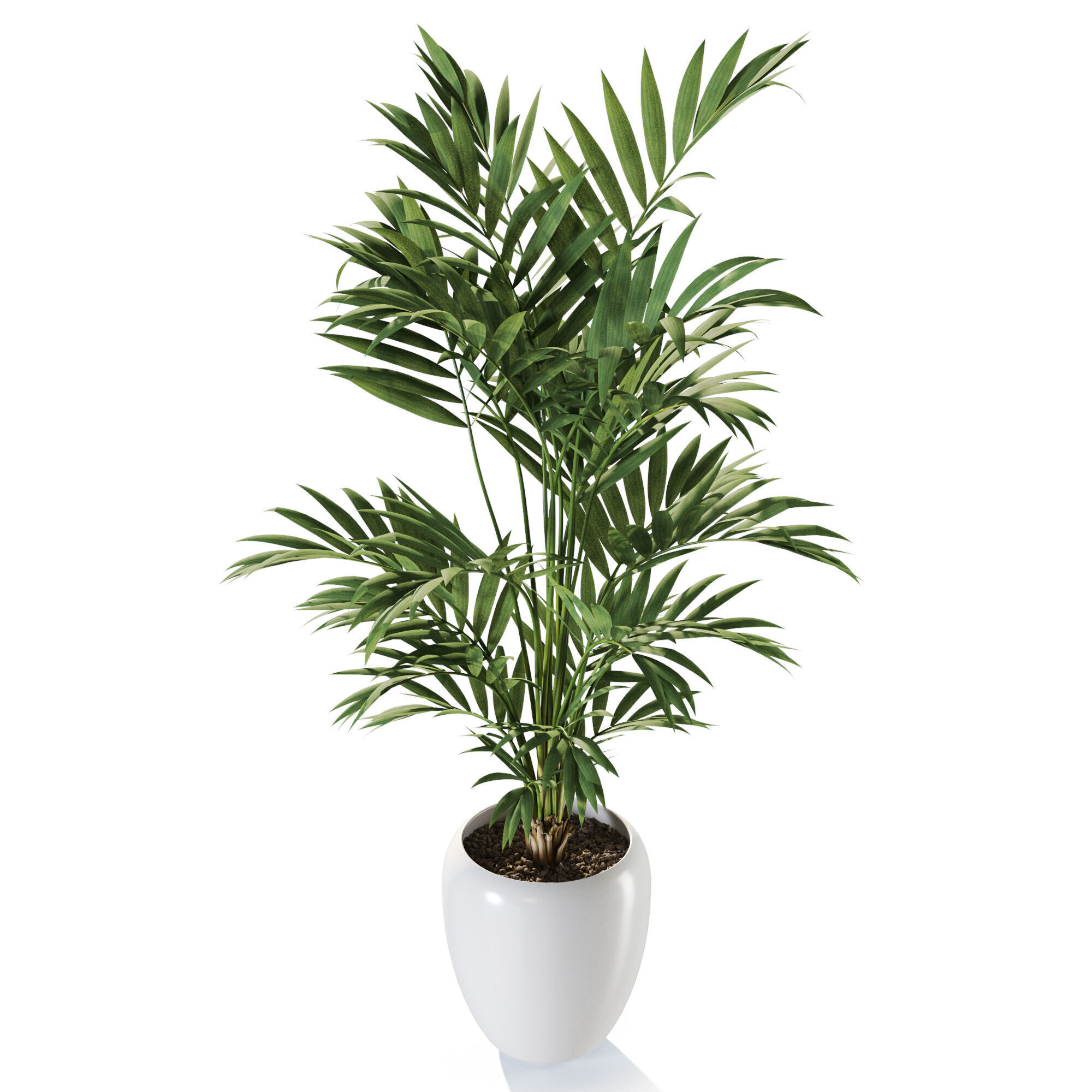 Plant 1240 3D model_3