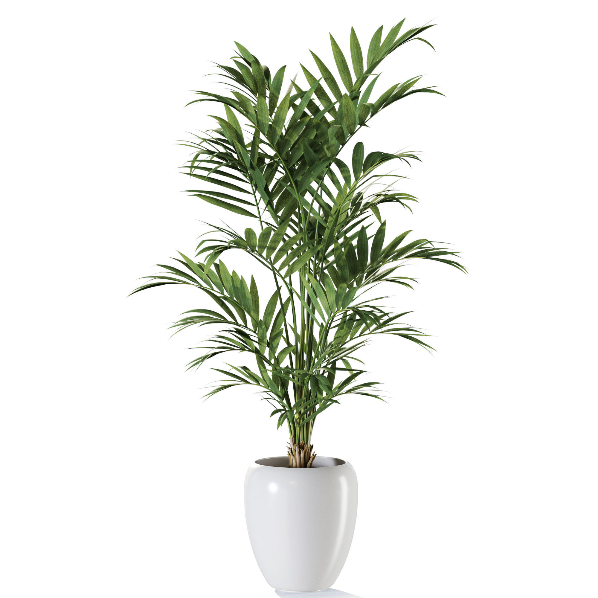 Plant 1240 3D model_1