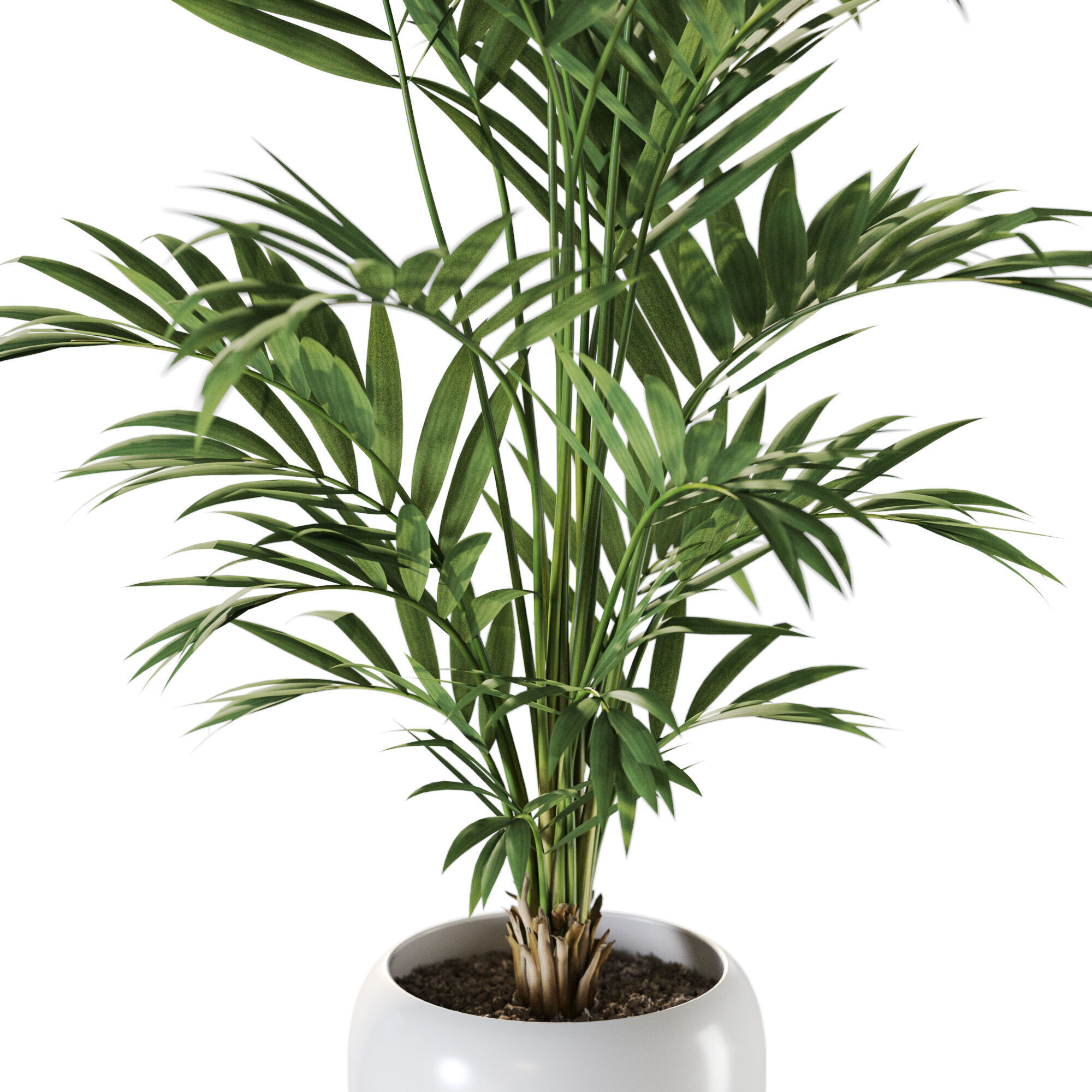 Plant 1240 3D model_2