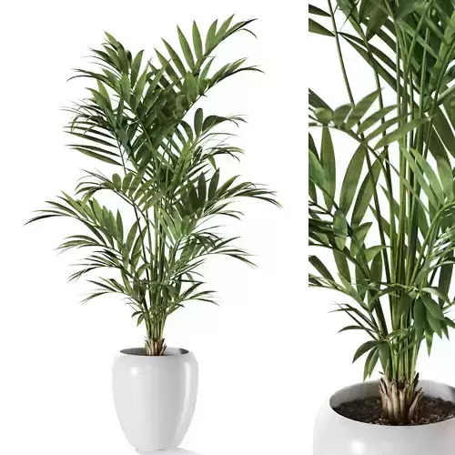 Plant 1240 3D model