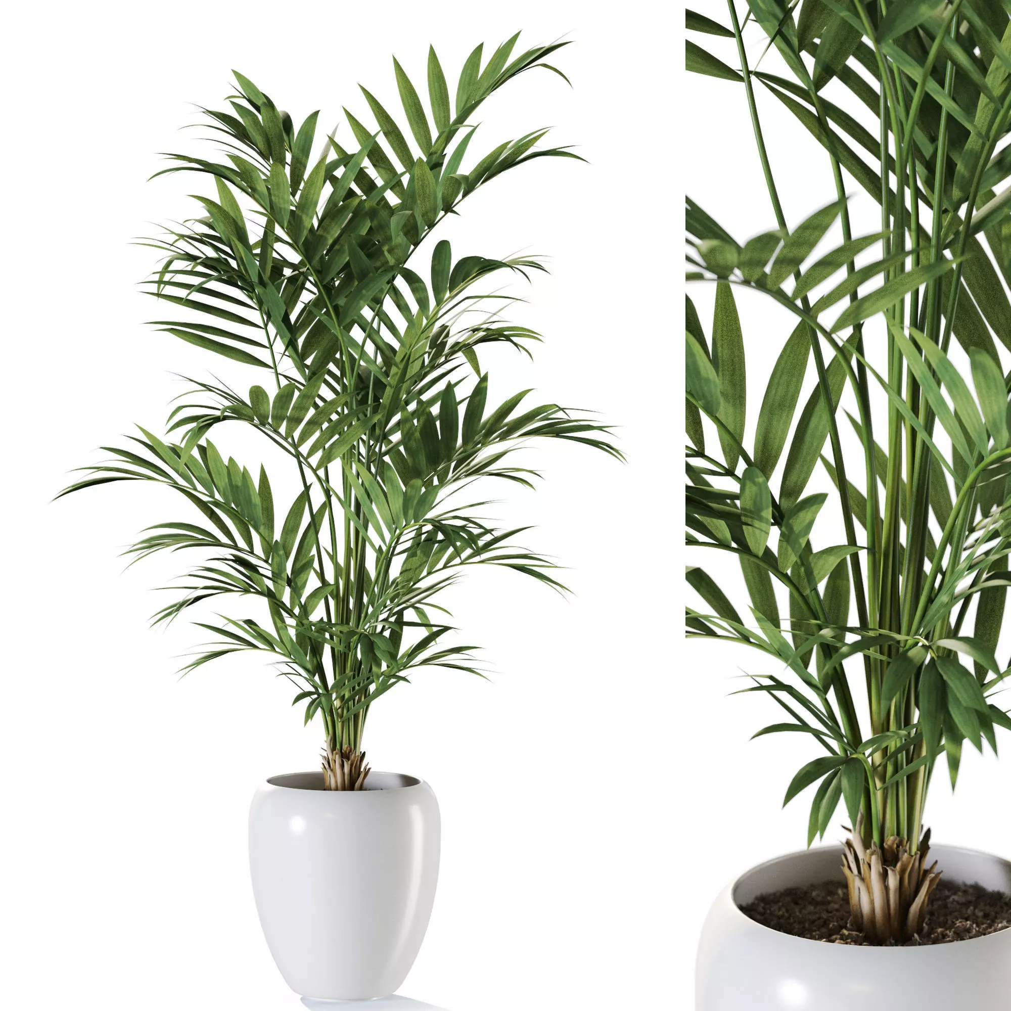 Plant 1240 3D model_0