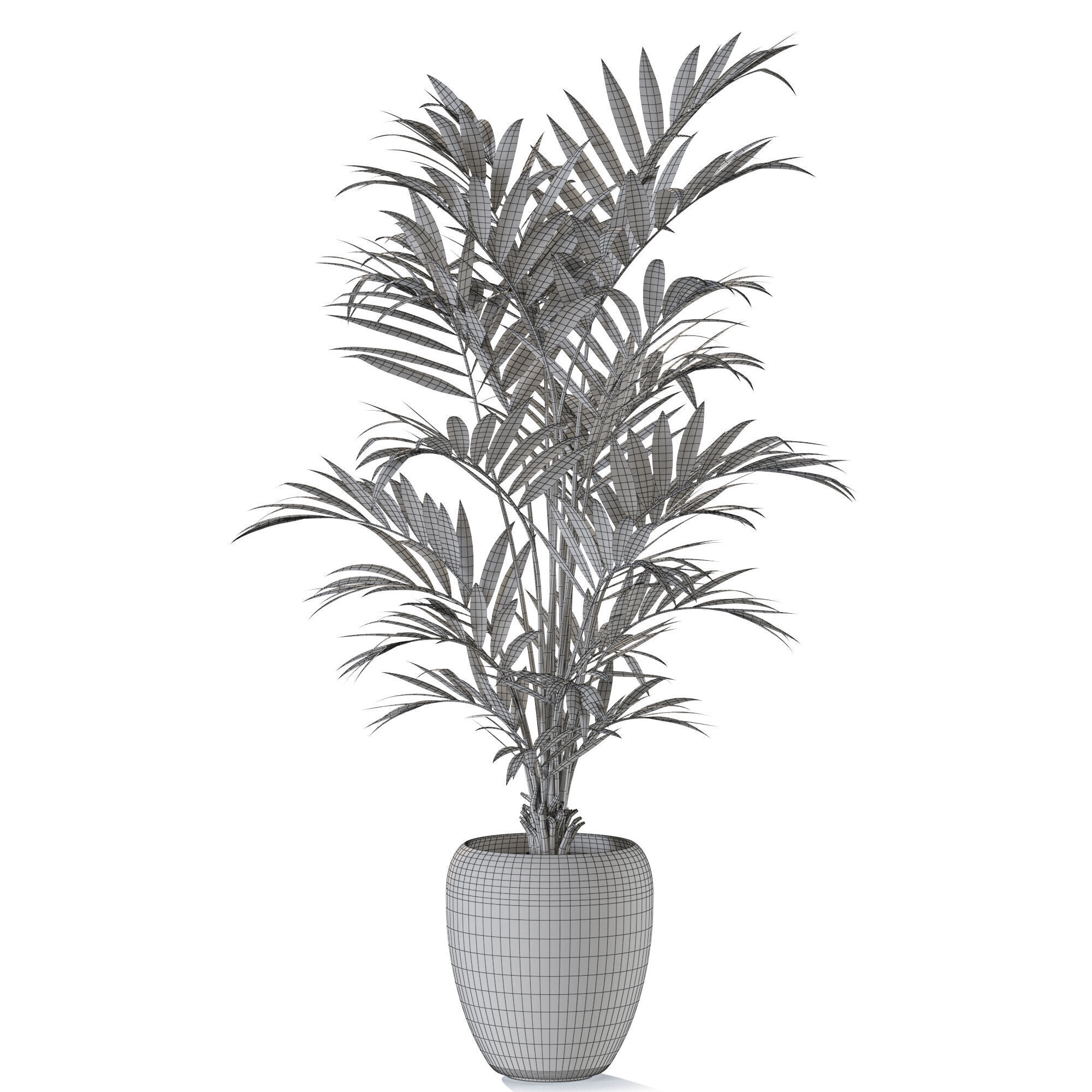 Plant 1240 3D model_4