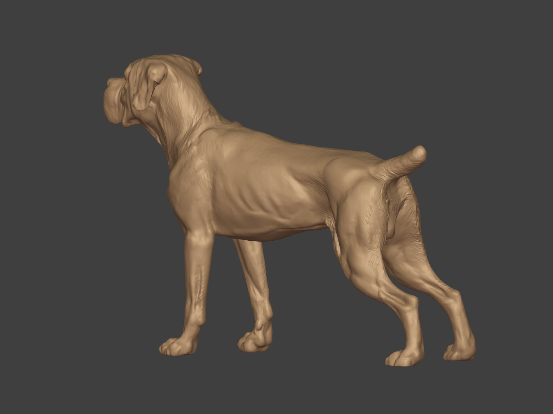 Boxer Dog Statue - Figurine 3D print model_5